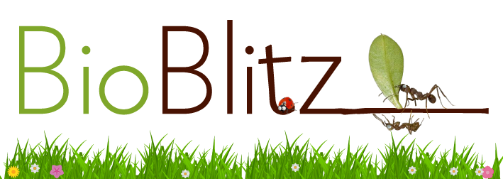 Bioblitz-Logo